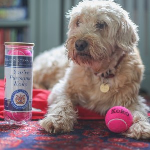 Personalised Dog Balls