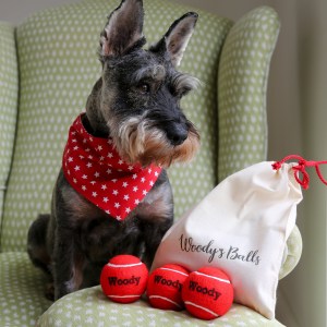 Personalised Dog balls with bag and bandana