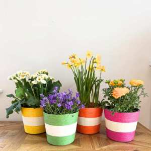 Jute Flower Pot Colourful Stripe