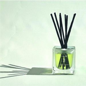 Citrus / Oceanic Fragrance Diffuser
