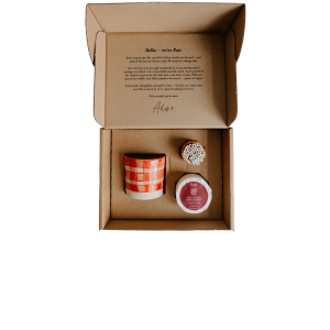 Standard Gingham Noël Starter Kit