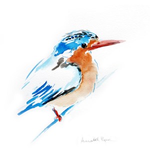'Malachite kingfisher' A3 limited edition print