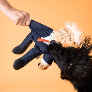Donald Trump Parody Dog Toy