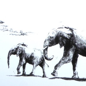 Elephant family print