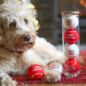 Christmassy Dog Balls