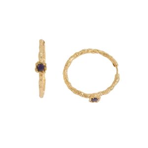 Lapis Lazuli Gold Vermeil Lichen Medium Hoop Earrings (30mm)
