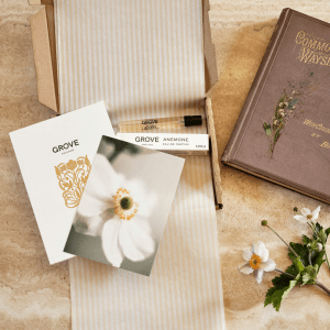 GROVE England The Anemone Discovery Box