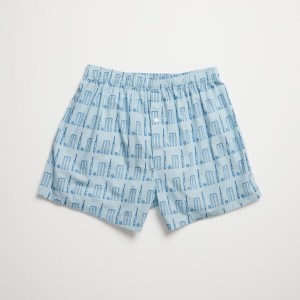 Cricket Test Time Boxer