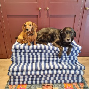 Blue stripe dog mat large