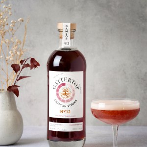 No.12 Damson Vodka Liqueur