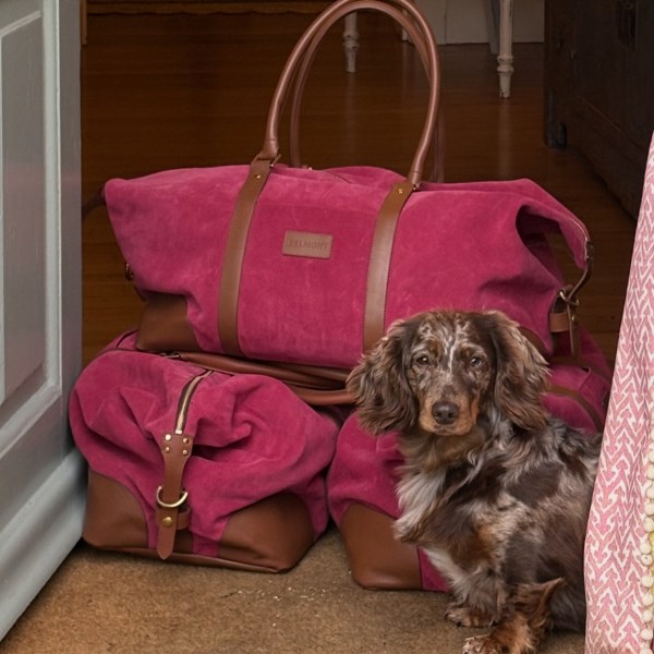 The Raffles Weekender Bag in Strawberry Pink Suede