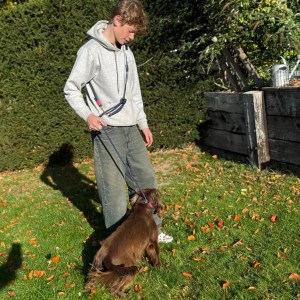 The Boot Room Company 150cm Jaeger Slip Lead