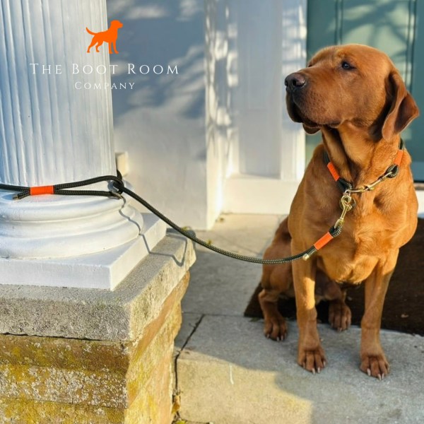 The Boot Room Company 120cm clip lead