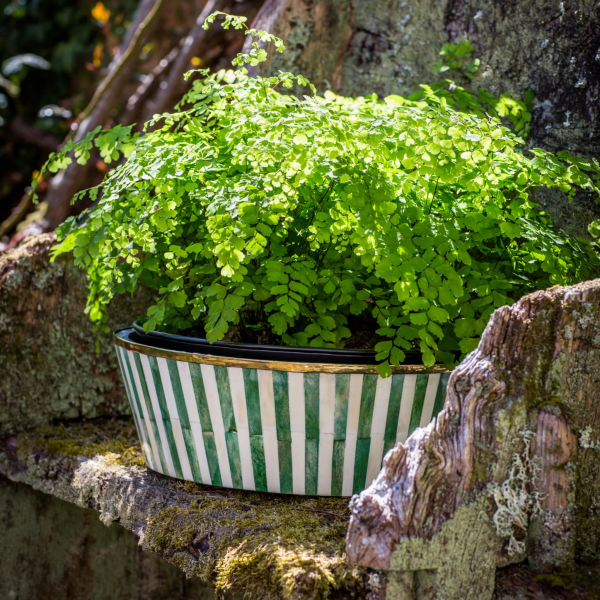 Large Inlay Planters