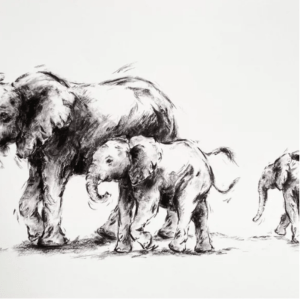 Mischievous young (Limited addition print)