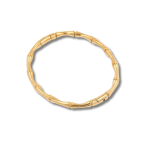 The Bamboo bangle