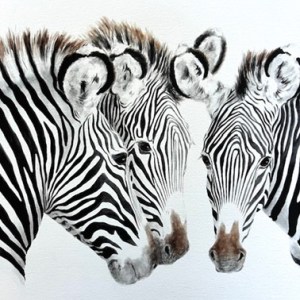 'All ears' A2 Limited edition print