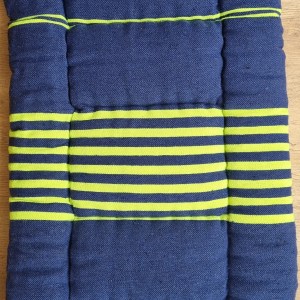 Blue and Neon Yellow Aga Slider Dog Mat