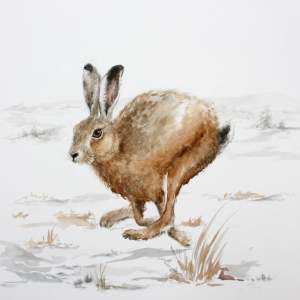 Linited edition print A2. This can be in a tube or framed up.