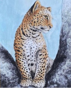 'Leopard cub tree' A2 limited edition print on canvas - stretched ready to hang
