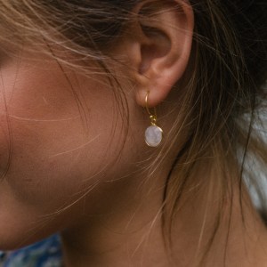 Gold Vermeil Hook Earrings in Rainbow Moonstone