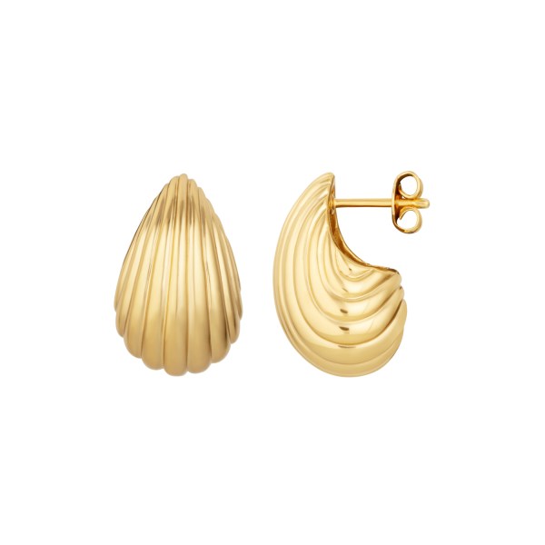 Shell Gold Stud Earrings - Ripple