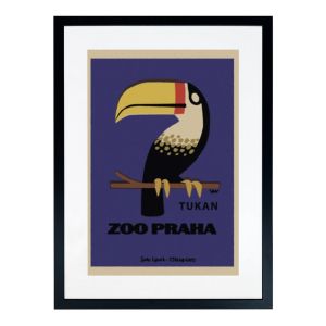 Framed Matchbox Label Print - Toucan