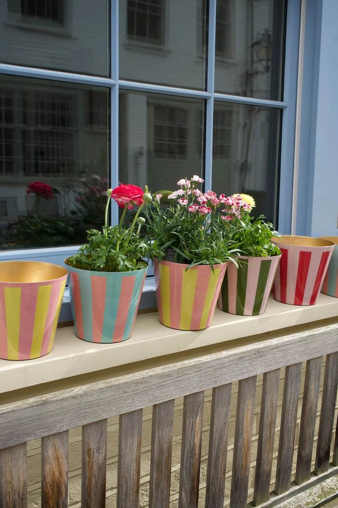 Brand Image 5