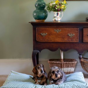 Green Bhuti Dog Bed (Large)