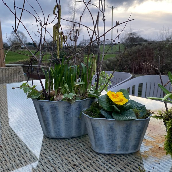 Oval Scalloped planter