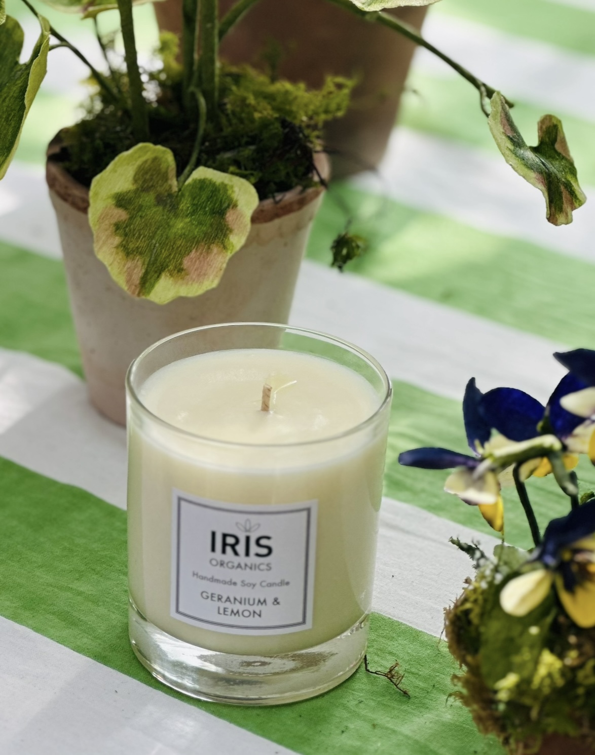 Brand Image 5