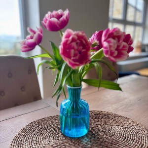 Coloured Bottle Vases