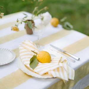 Set of 4 Lemon Grove Napkins