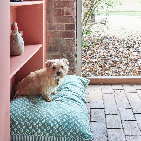 Apple Green Ditsy Dog Bed