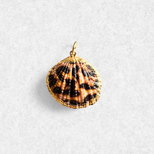 Leopard Shell Pendant