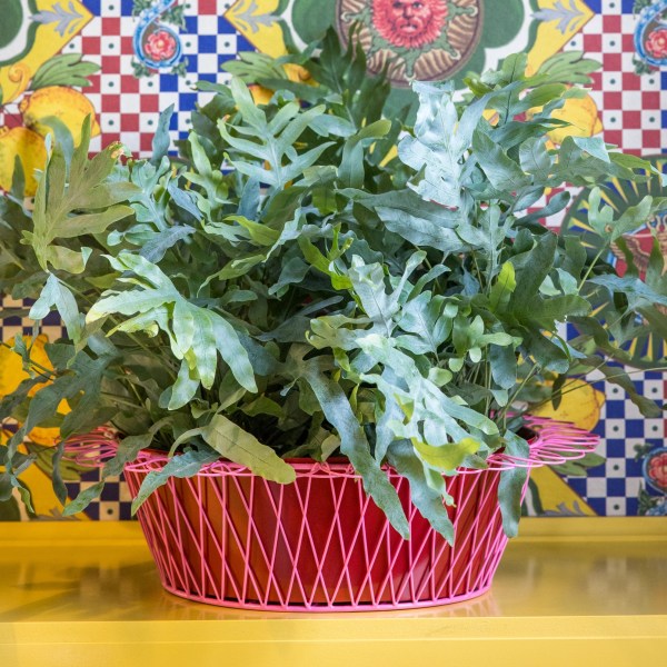 Wire Mesh Basket Planters