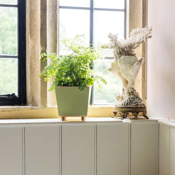 Square Toleware Planter