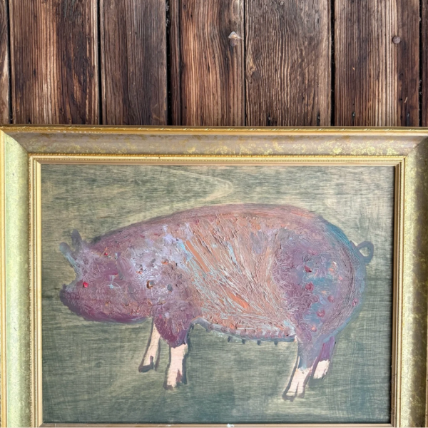 🐷 NEW PIGS! 🐷