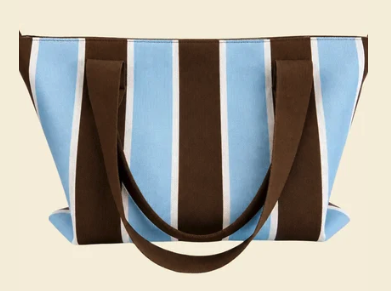 Blue & Brown Striped Everyday Bag
